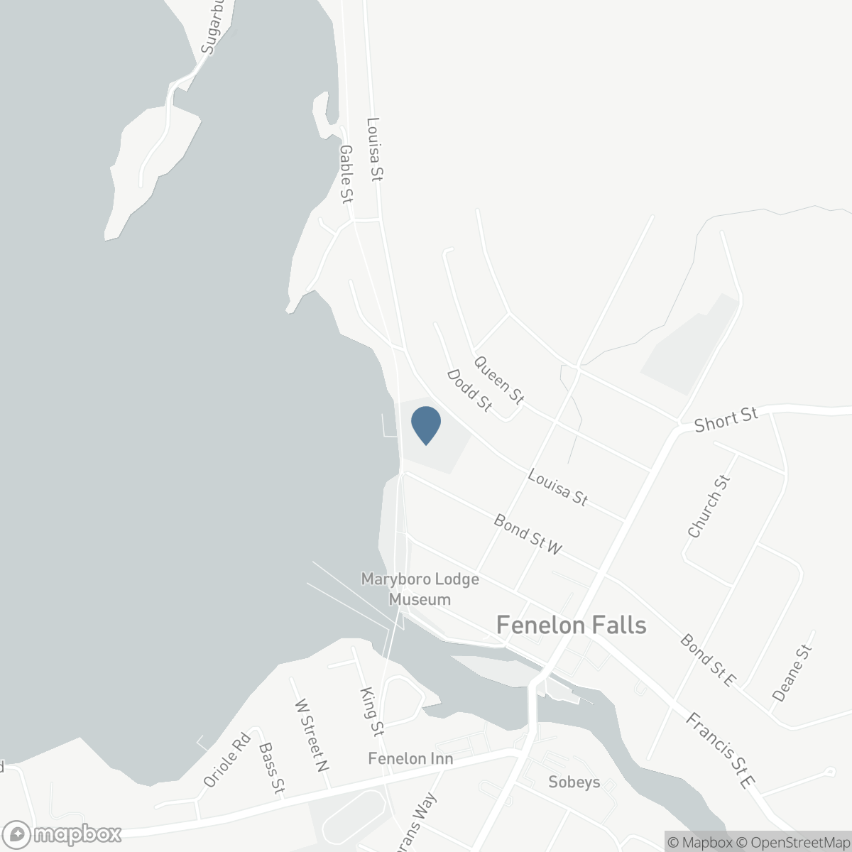 201 - 99 LOUISA STREET, Fenelon Falls, Ontario K0M 1N0